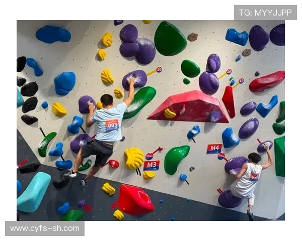 上海攀岩队灵活性对比分析及其对竞技表现的影响探讨 上海攀岩队灵活性对比分析及其对竞技表现的影响探讨