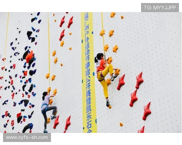 南京攀岩队团队协作能力提升创造新高峰引领攀岩运动发展