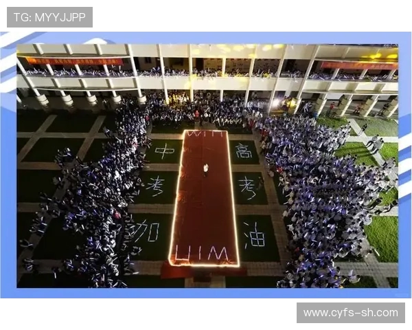 吴芳独家分享篮球心得与技巧助你提升球技的全面指南