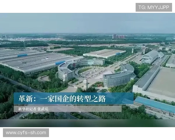 杭州排球队防守革新之路探索团队协作与技术提升的完美结合