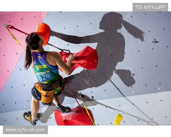 杭州攀岩队荣获全国攀岩比赛经验排行榜第三名的辉煌成就
