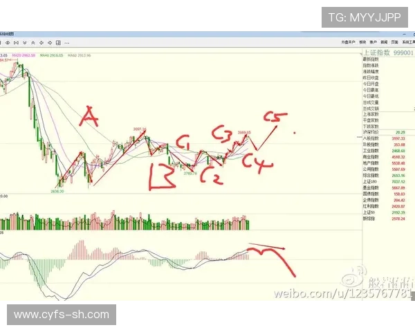 深圳网球队防守策略深度分析与战术解读