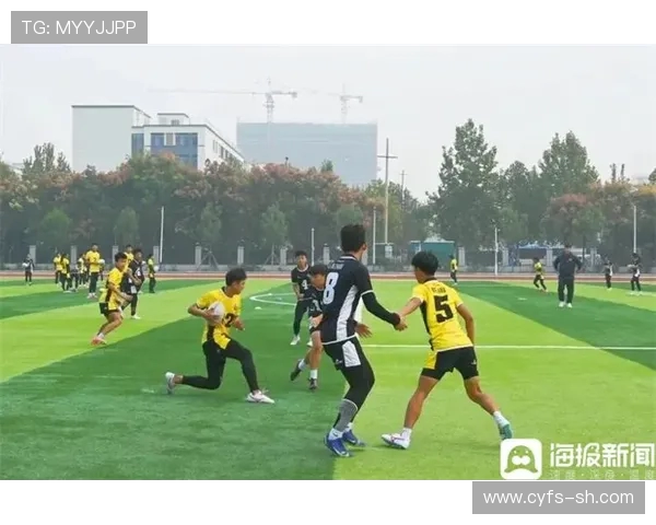 羽毛球传奇陈敏的职业生涯与心路历程深度对话