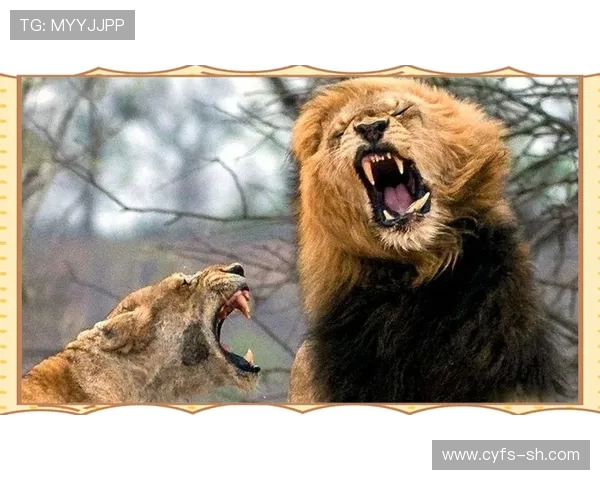 克劳利队与牛津联队激战正酣谁能在这场对决中笑到最后