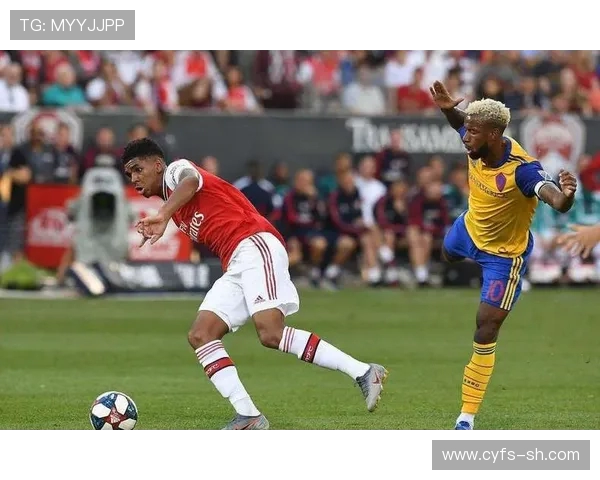 纽约城的繁华与伐木工的坚韧：城市与自然的对话与碰撞