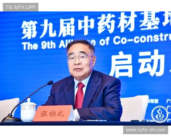 专访杨秀英：深入探讨王者荣耀成功背后的策略与创新