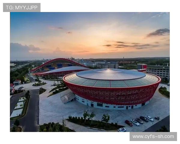 北京乒乓球队运营模式解析与发展策略探讨