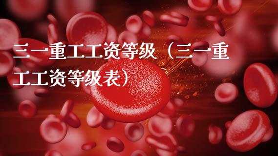 三一重工工资等级（三一重工工资等级表）_https://www.cyfs-sh.com_股票市场_第1张