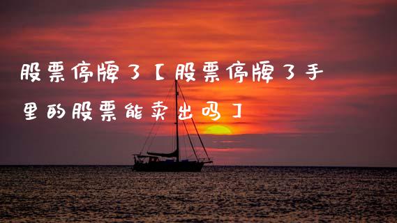 股票停牌了【股票停牌了手里的股票能卖出吗】_https://www.cyfs-sh.com_股市知识_第1张
