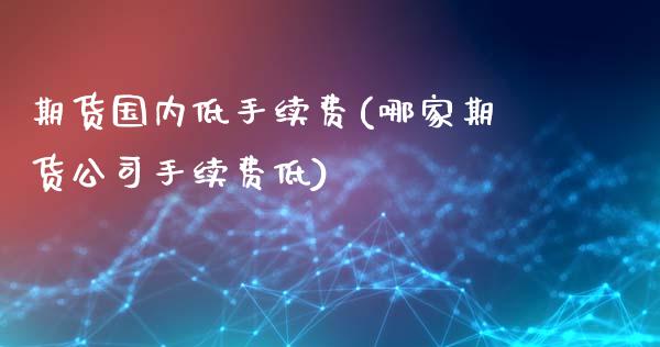 期货国内低手续费(哪家期货公司手续费低)_https://www.cyfs-sh.com_研究报告_第1张