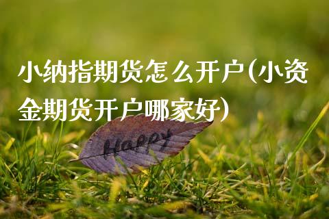 小纳指期货怎么开户(小资金期货开户哪家好)_https://www.cyfs-sh.com_股市知识_第1张