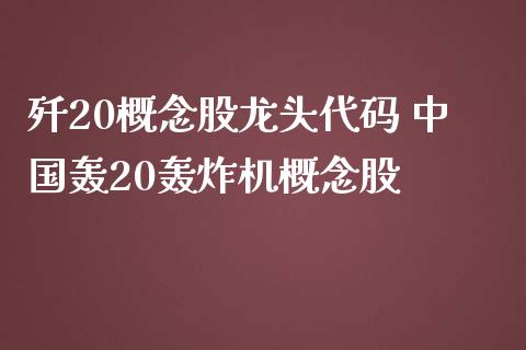 歼20概念股龙头代码 中国轰20轰炸机概念股_https://www.cyfs-sh.com_股市资讯_第1张