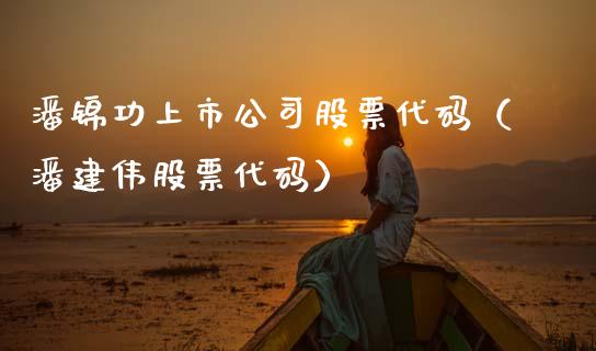 潘锦功上市公司股票代码（潘建伟股票代码）_https://www.cyfs-sh.com_股市资讯_第1张