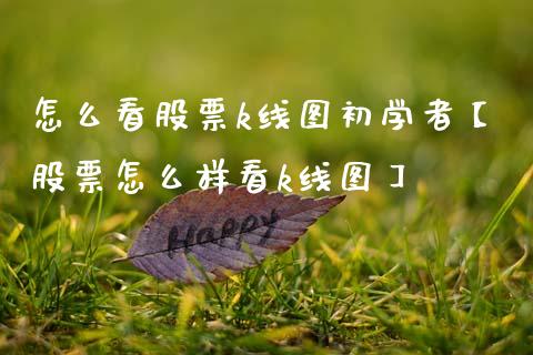 怎么看股票k线图初学者【股票怎么样看k线图】_https://www.cyfs-sh.com_研究报告_第1张
