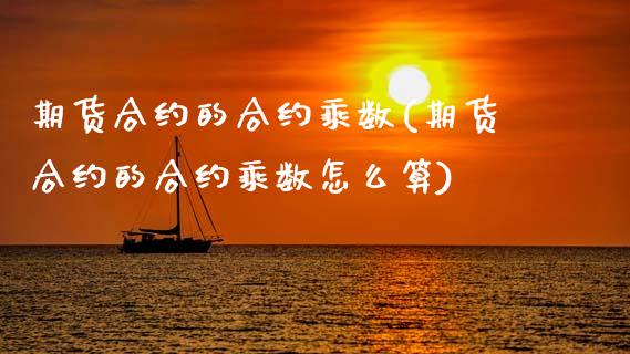 期货合约的合约乘数(期货合约的合约乘数怎么算)_https://www.cyfs-sh.com_未分类_第1张