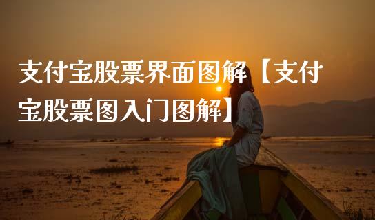 支付宝股票界面图解【支付宝股票图入门图解】_https://www.cyfs-sh.com_股票市场_第1张
