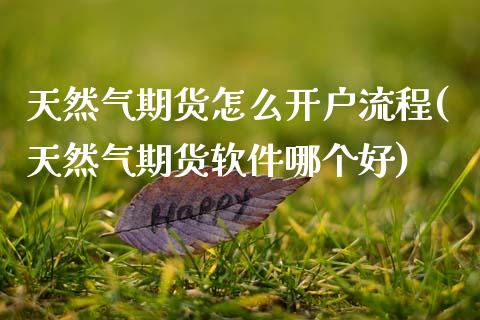 天然气期货怎么开户流程(天然气期货软件哪个好)_https://www.cyfs-sh.com_股市知识_第1张