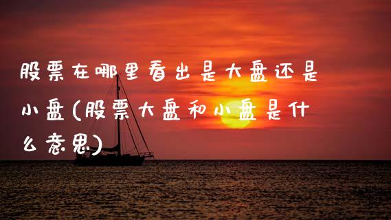 股票在哪里看出是大盘还是小盘(股票大盘和小盘是什么意思)_https://www.cyfs-sh.com_股票问答_第1张