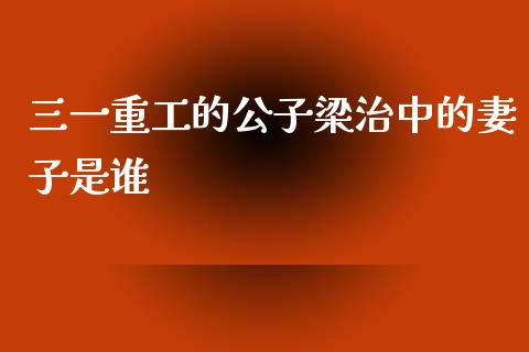 三一重工的公子梁治中的妻子是谁_https://www.cyfs-sh.com_股市资讯_第1张