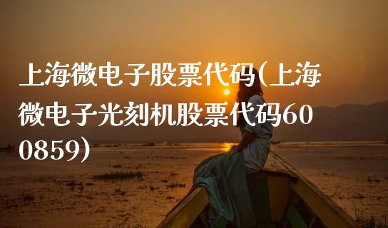 上海微电子股票代码(上海微电子光刻机股票代码600859)_https://www.cyfs-sh.com_研究报告_第1张